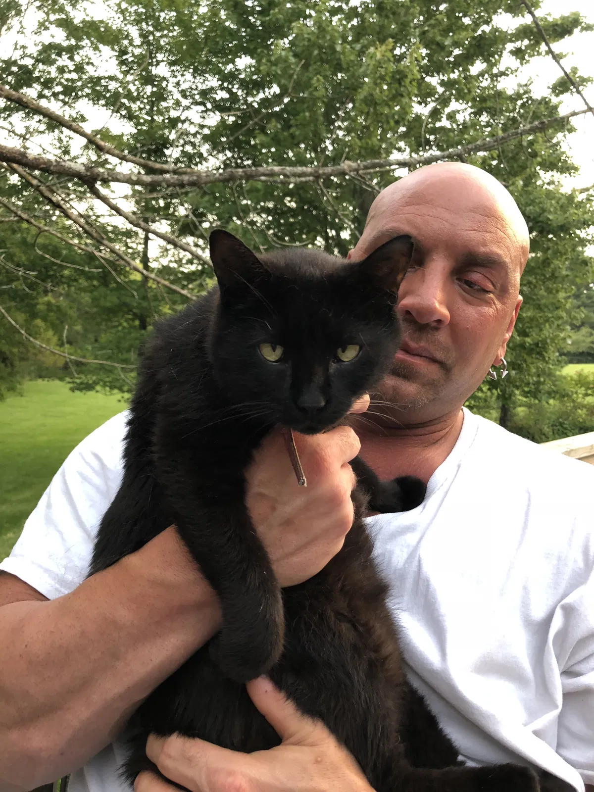 Lost cat in Waynesville, OH, 45068