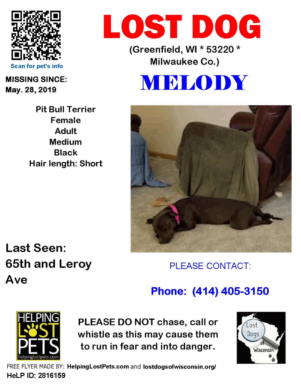 Lost dog in Milwaukee, WI, 53220