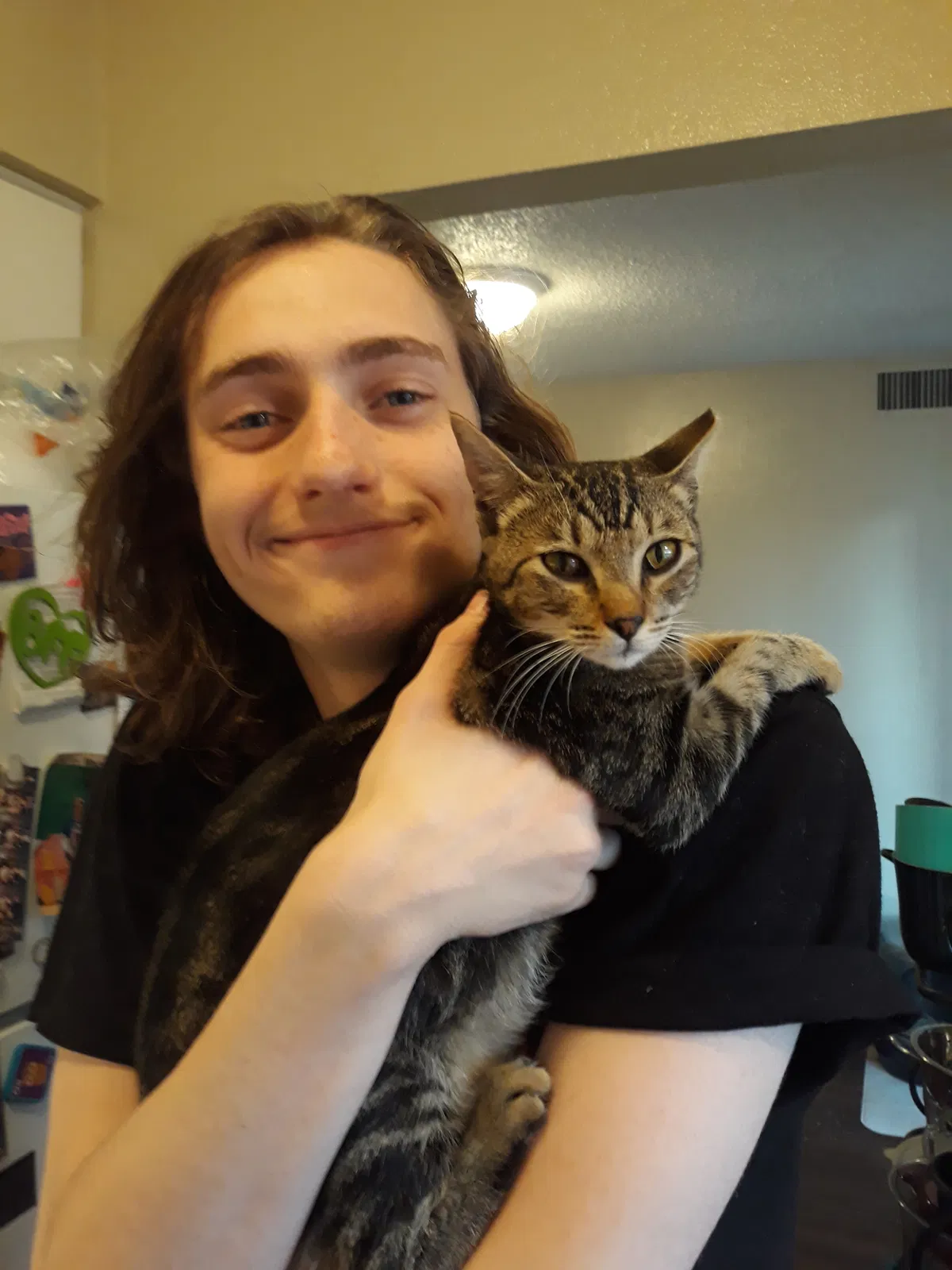 Lost cat in Wichita Falls, TX, 76308