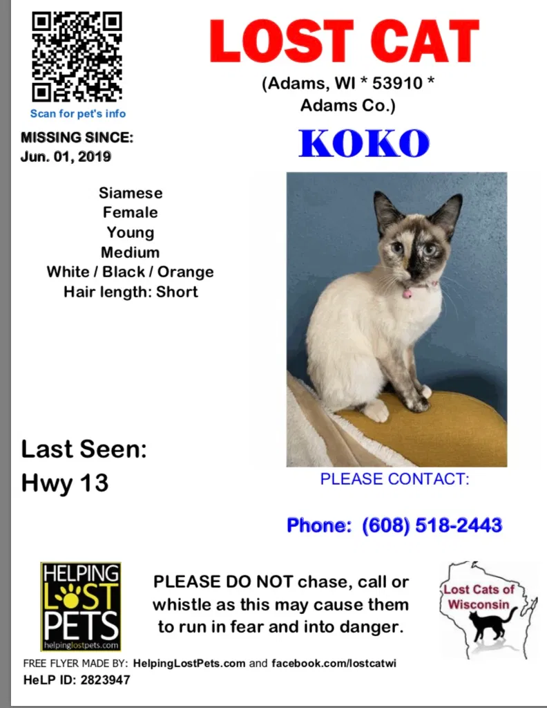 Lost cat in Adams, WI, 53910