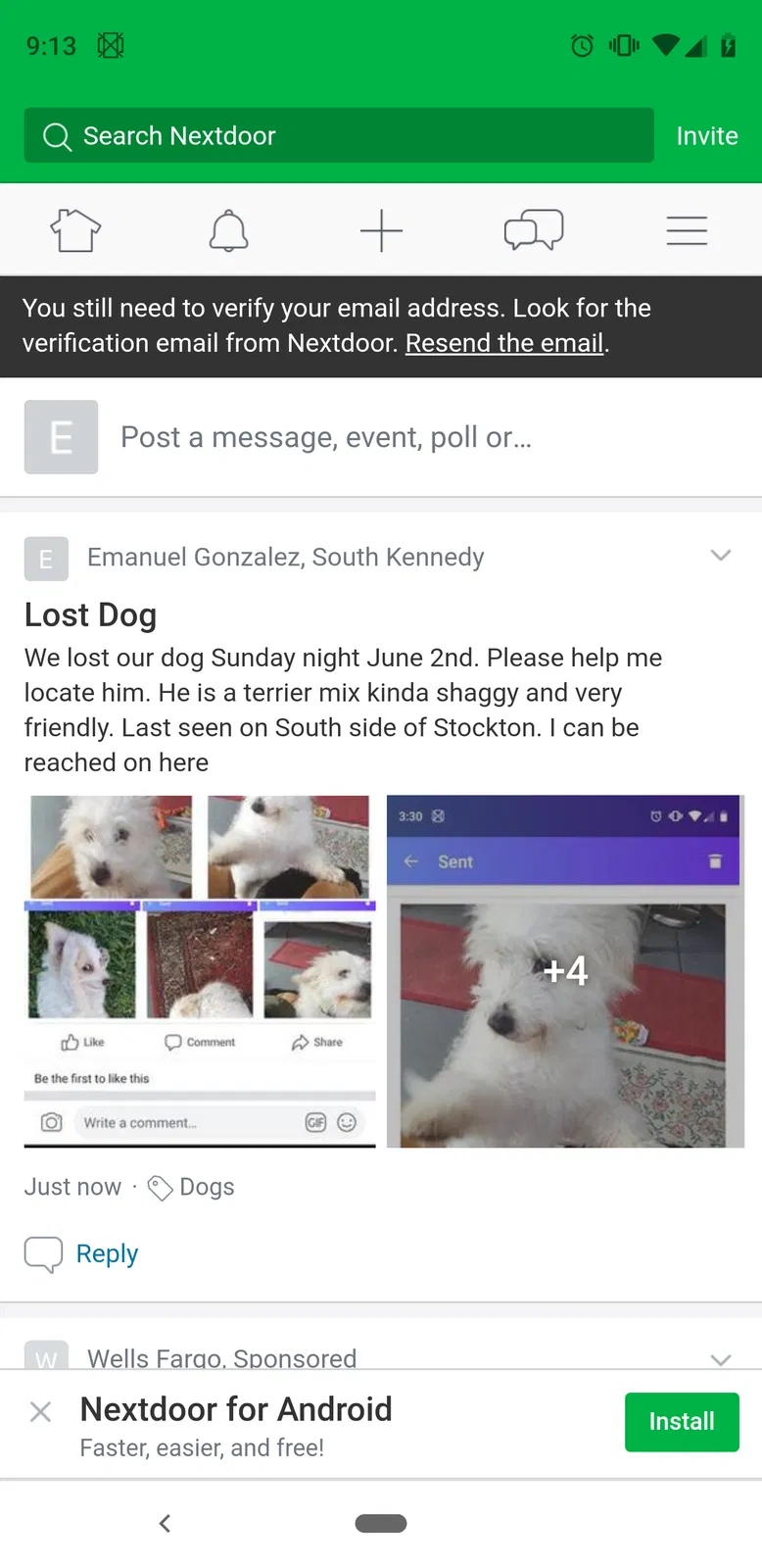 Lost dog in Stockton, CA, 95206
