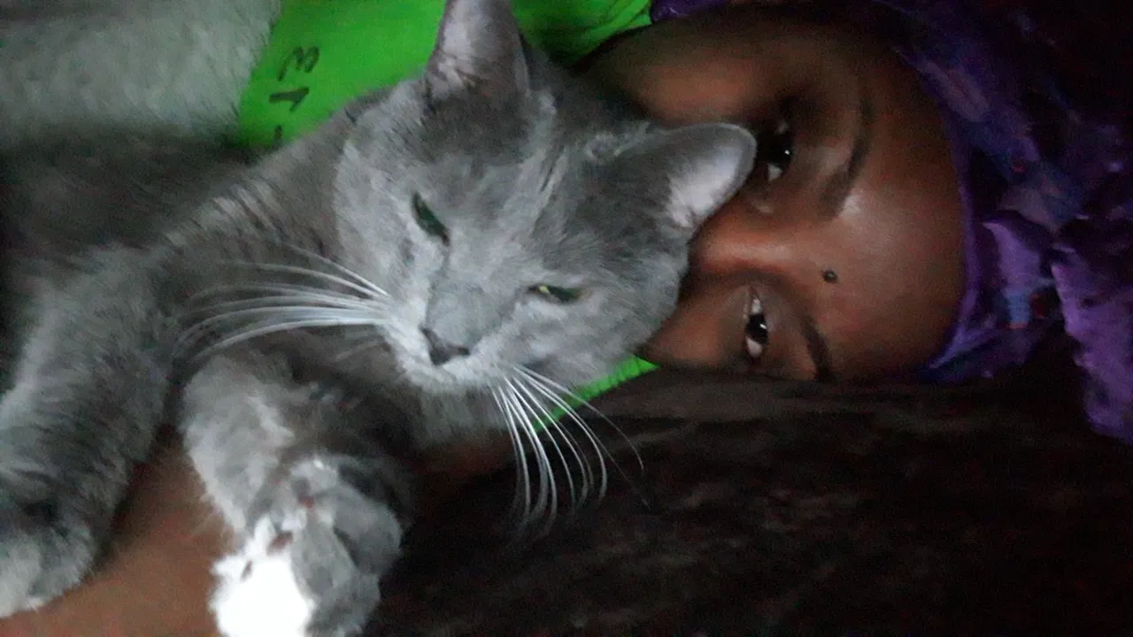 Lost cat in Tucker, GA, 30084