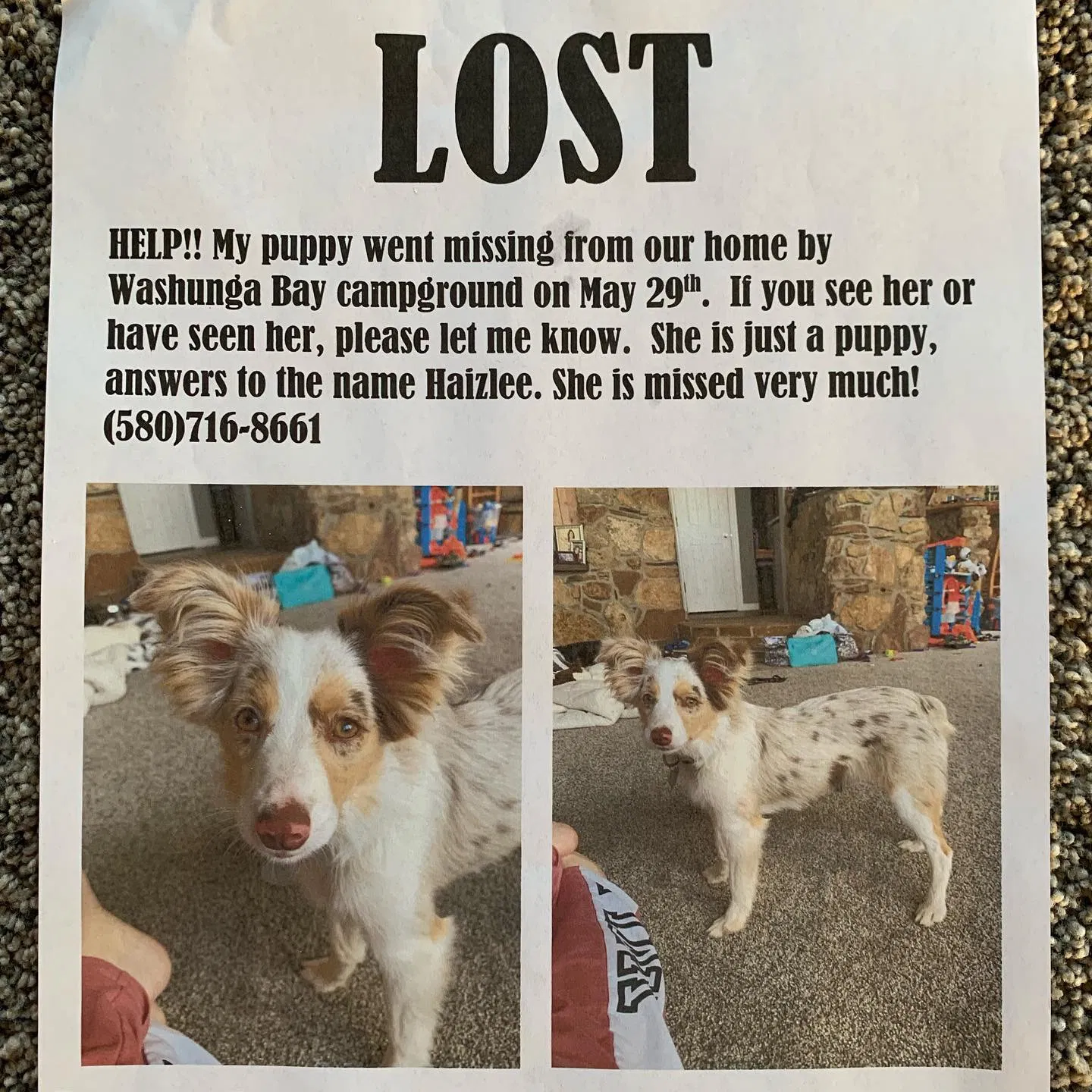 Lost dog in Kaw City, OK, 74641