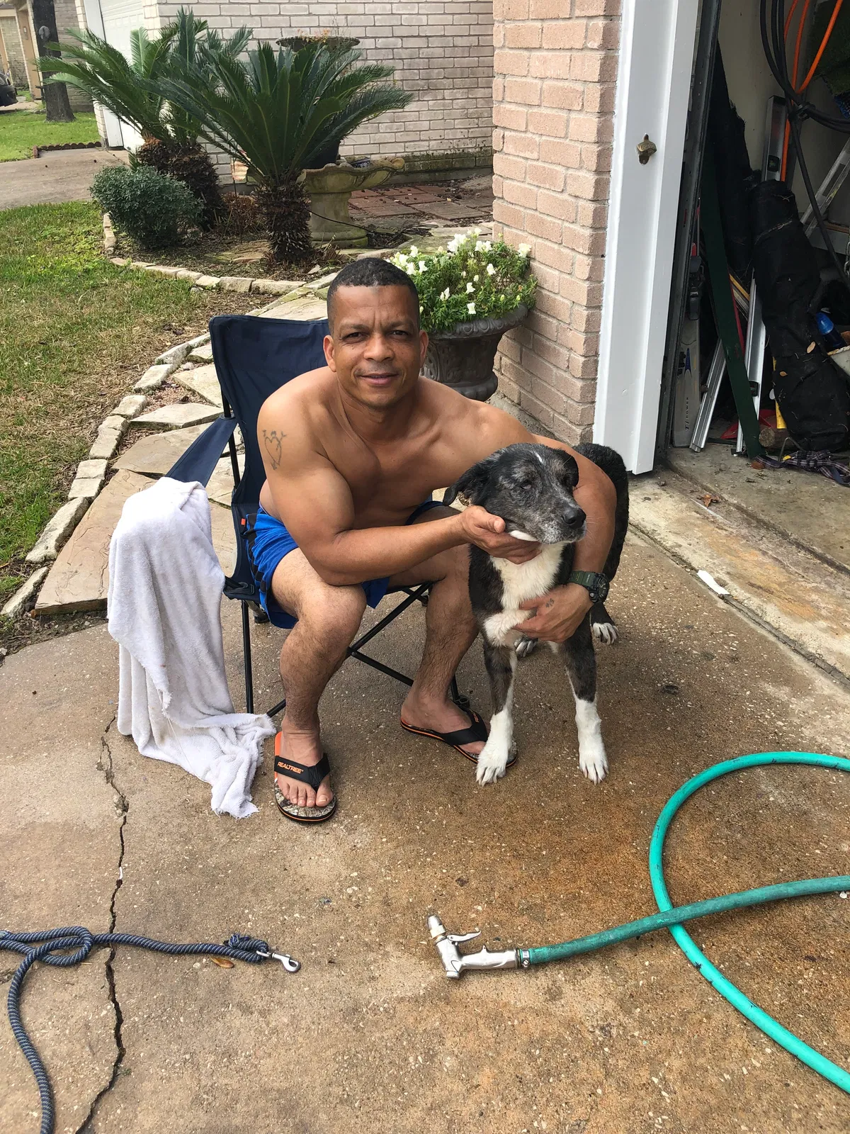 Lost dog in Houston, TX, 77072
