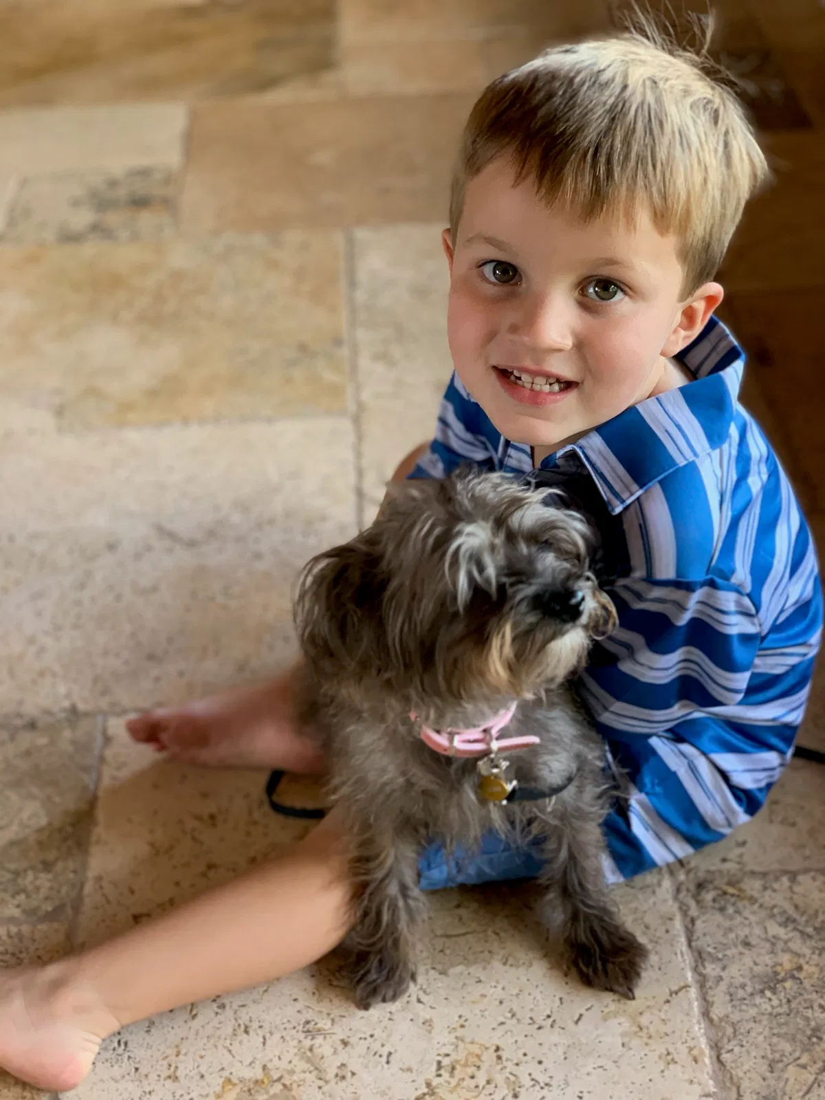 Lost dog in Wickenburg, AZ, 85390