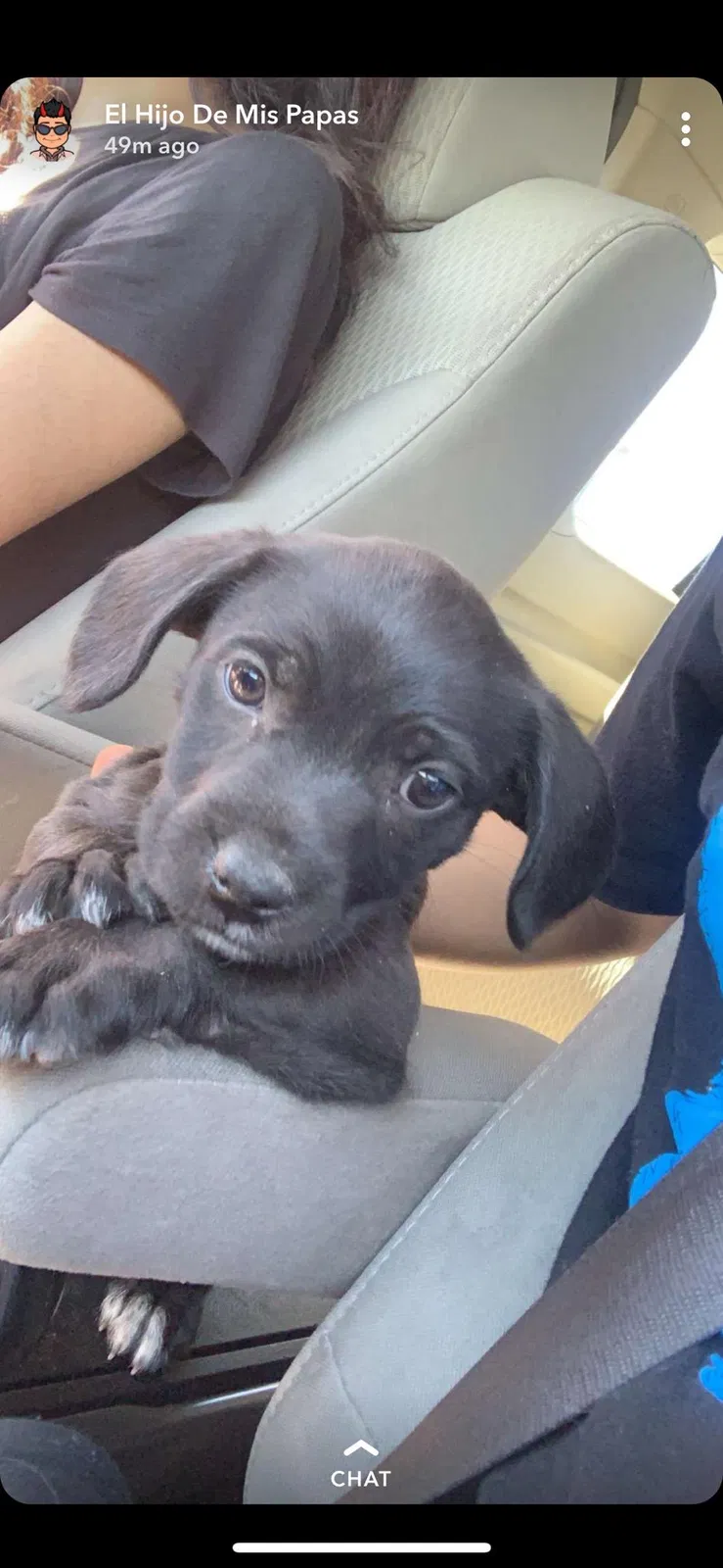 Lost dog in Aurora, CO, 80010