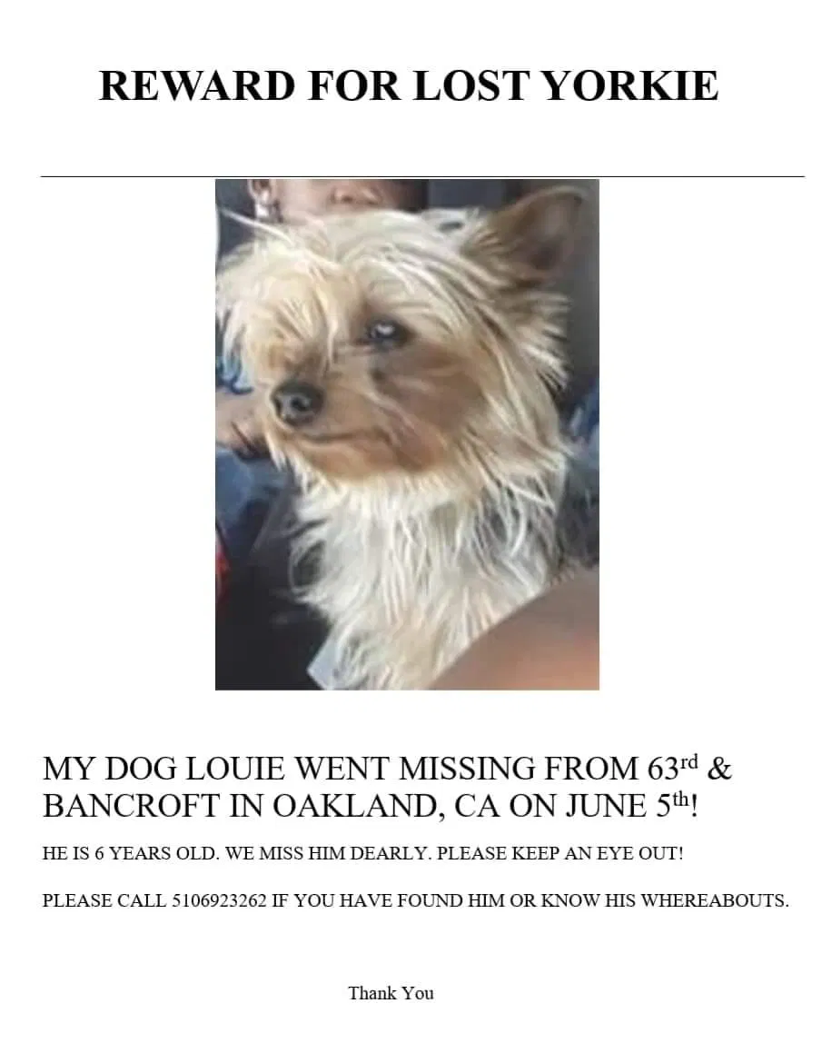 Lost dog in Oakland, CA, 94605