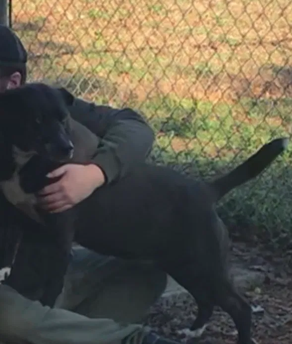 Lost dog in Temple, GA, 30179