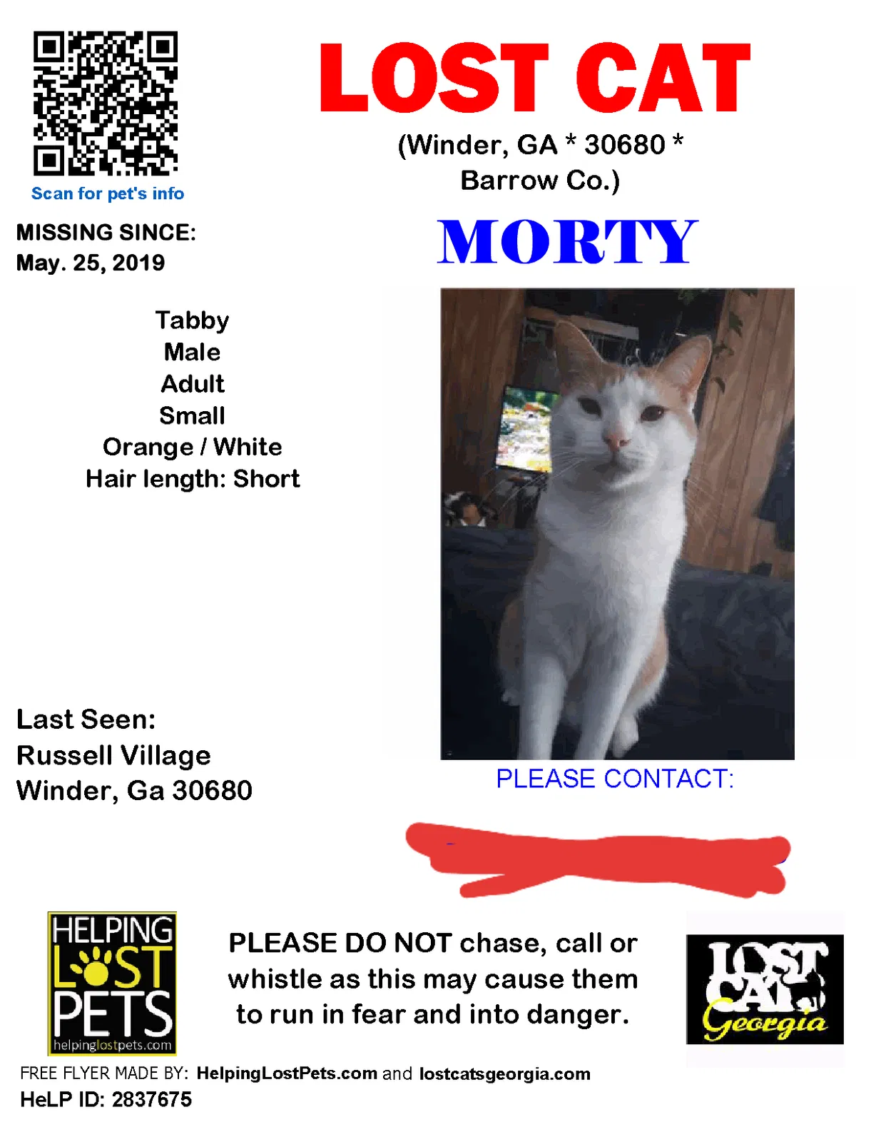 Lost cat in Winder, GA, 30680