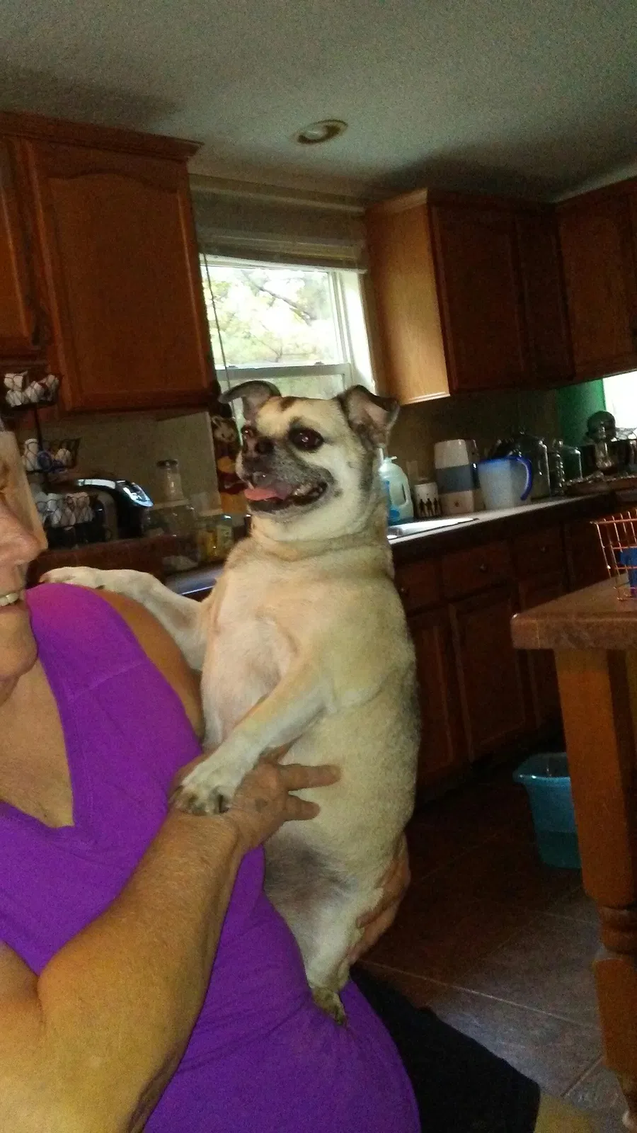 Lost dog in Gladewater, TX, 75647