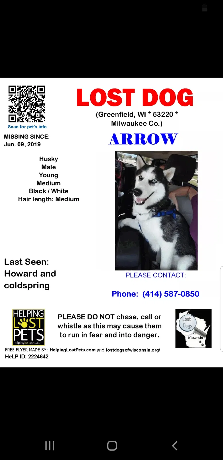 Lost dog in Milwaukee, WI, 53220