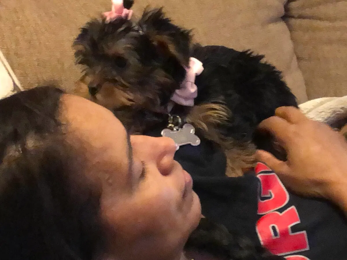 Lost dog in Marietta, GA, 30067
