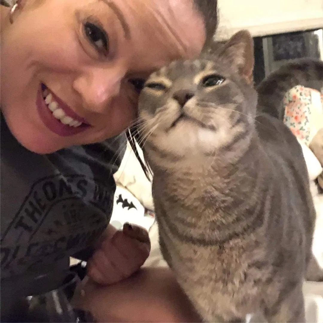 Lost cat in Mansfield, TX, 76063