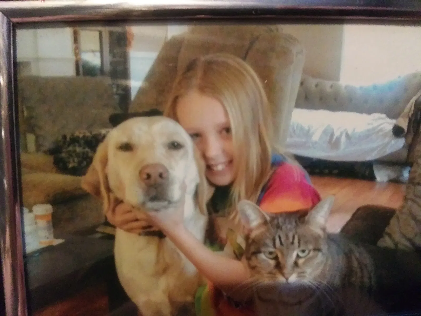 Lost dog in Boonville, IN, 47601