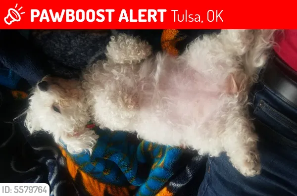 Lost dog in Tulsa, OK, 74107