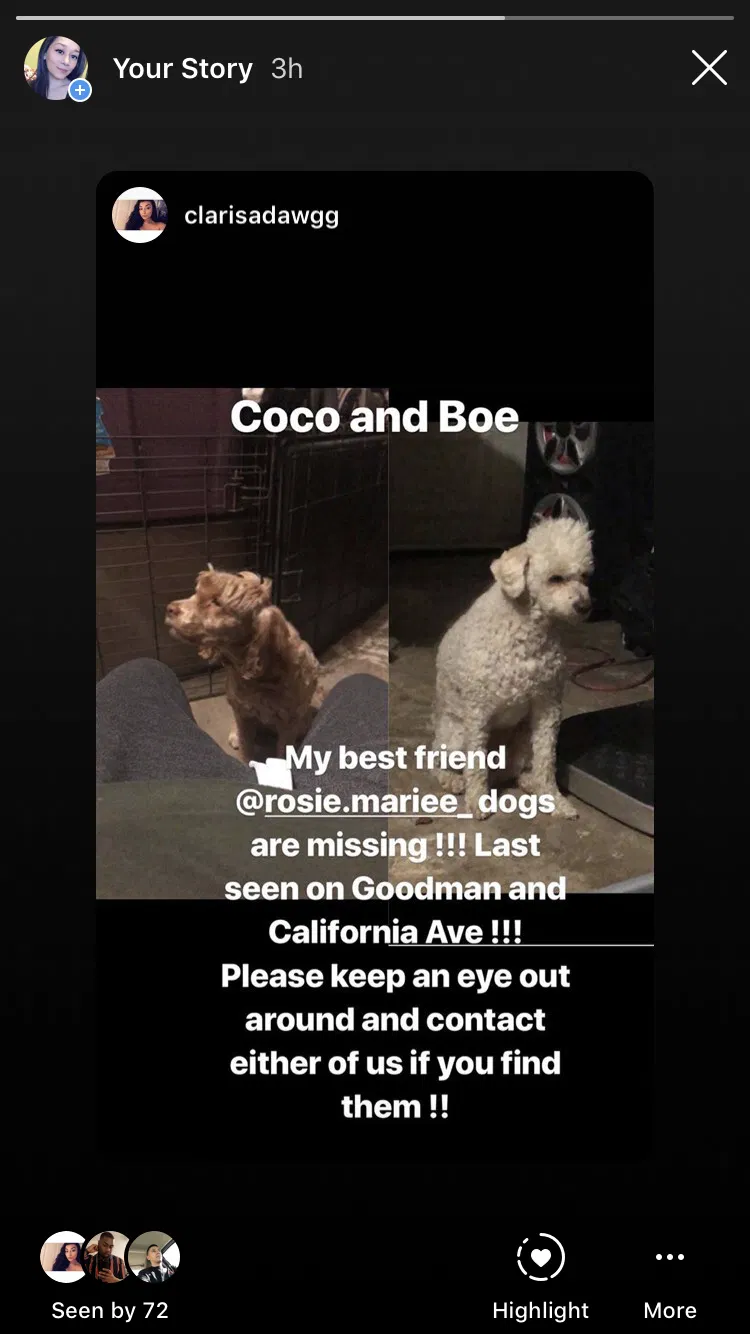 Lost dog in Riverside, CA, 92503