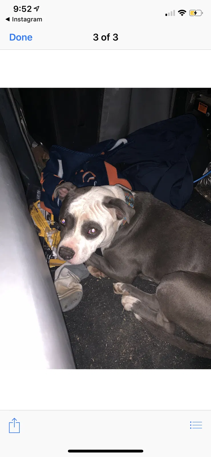 Lost dog in Broken Arrow, OK, 74014