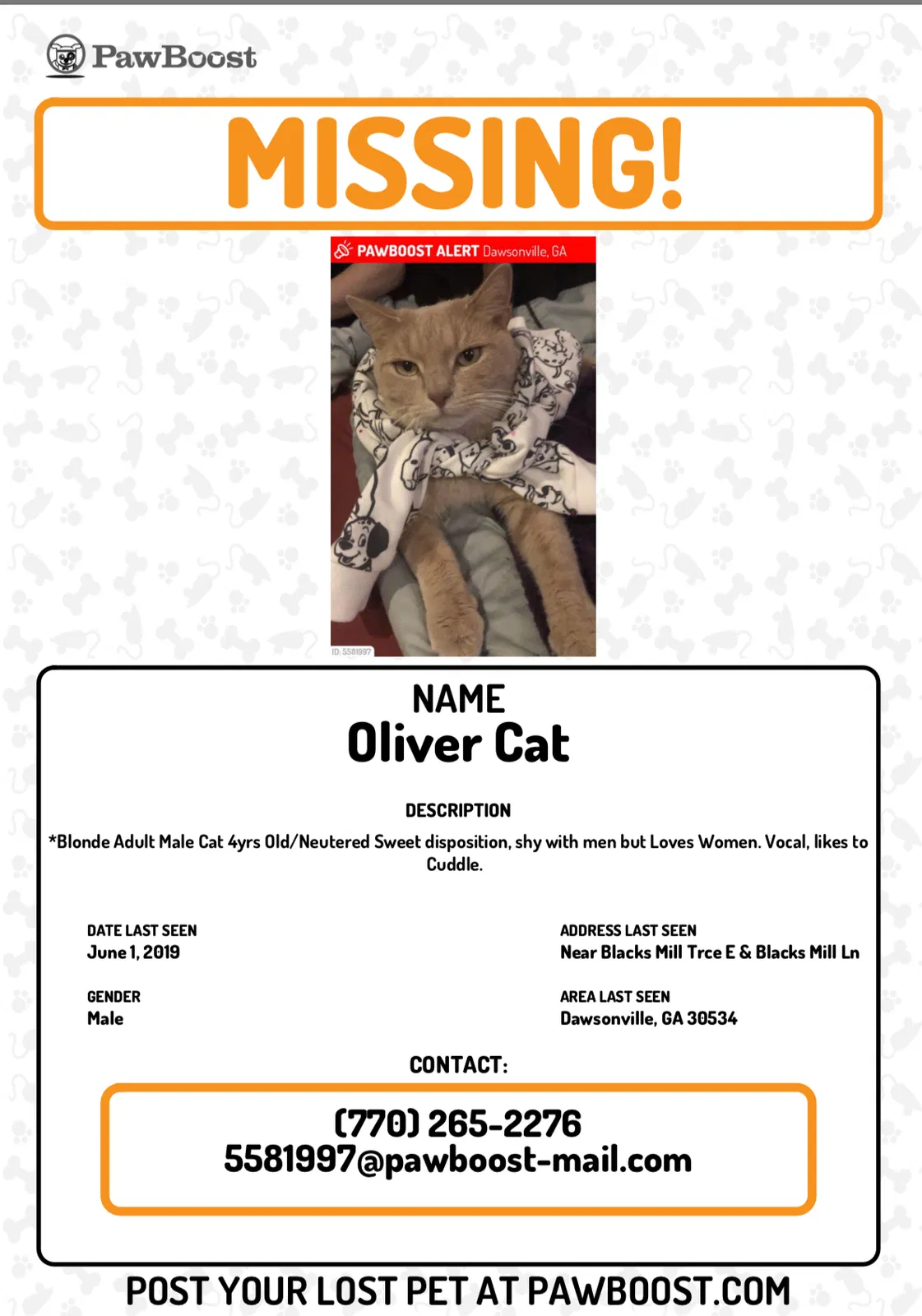 Lost cat in Dawsonville, GA, 30534