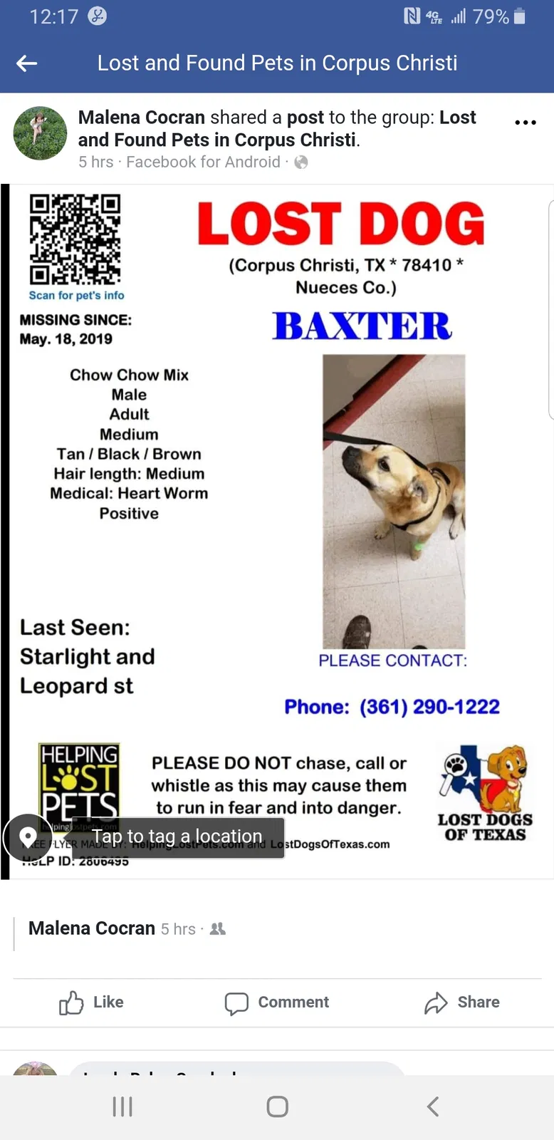 Lost dog in Corpus Christi, TX, 78410