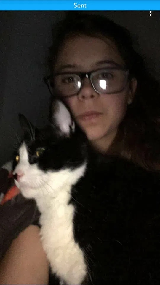 Lost cat in Cleveland, OH, 44109