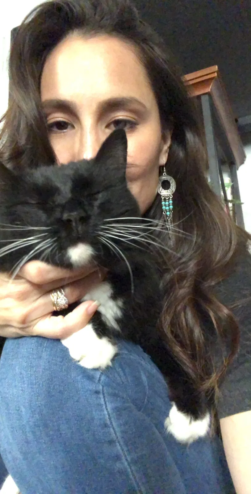 Lost cat in Fort Worth, TX, 76135