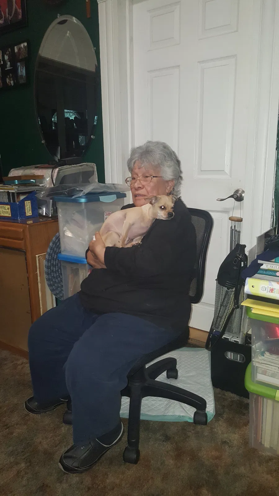 Lost dog in Denver, CO, 80204