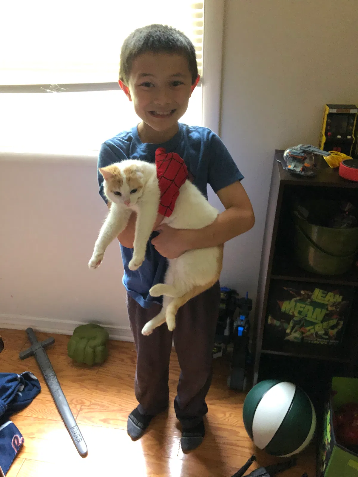 Lost cat in Lowell, MI, 49331