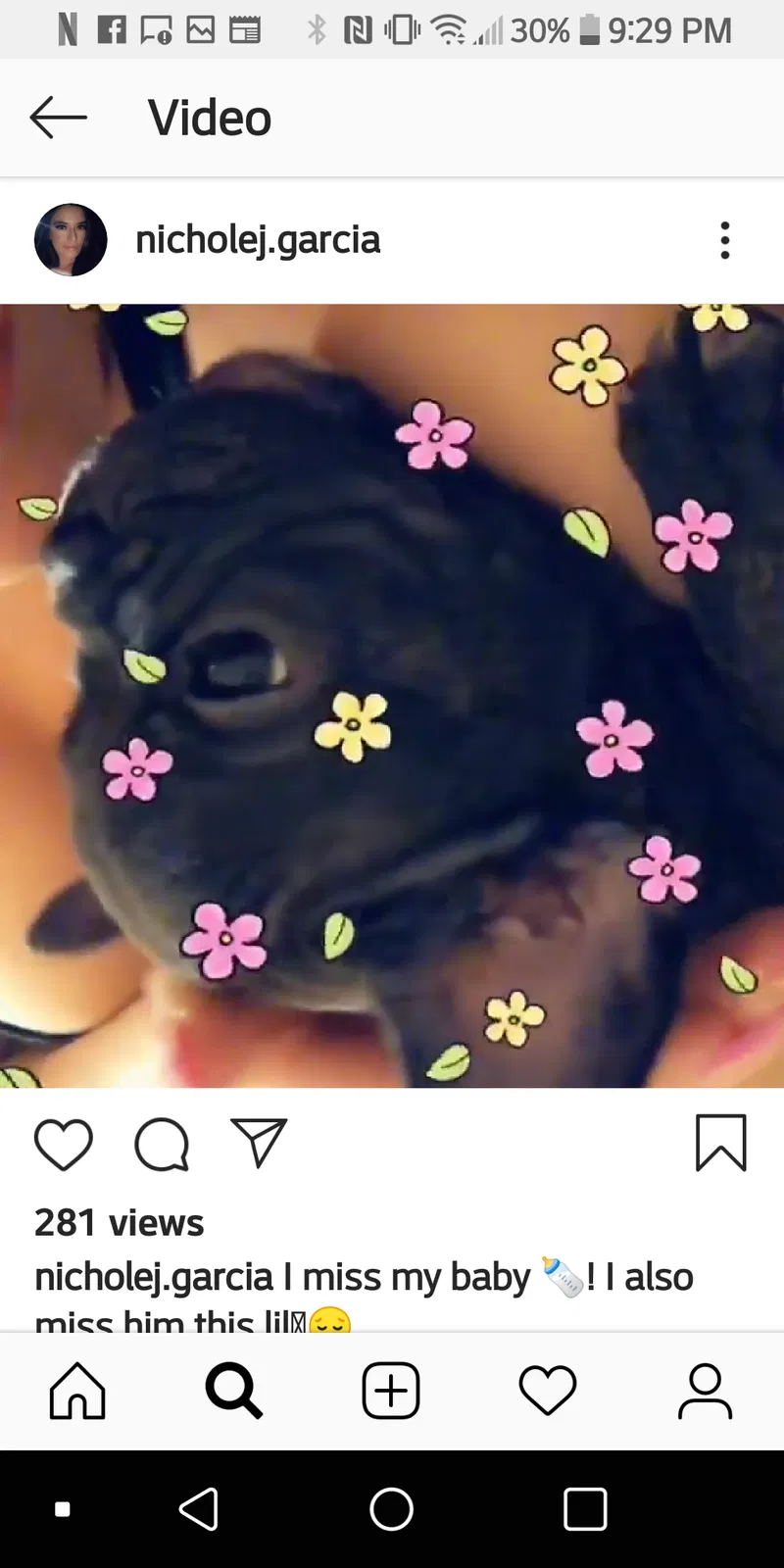 Lost dog in Downey, CA, 90242