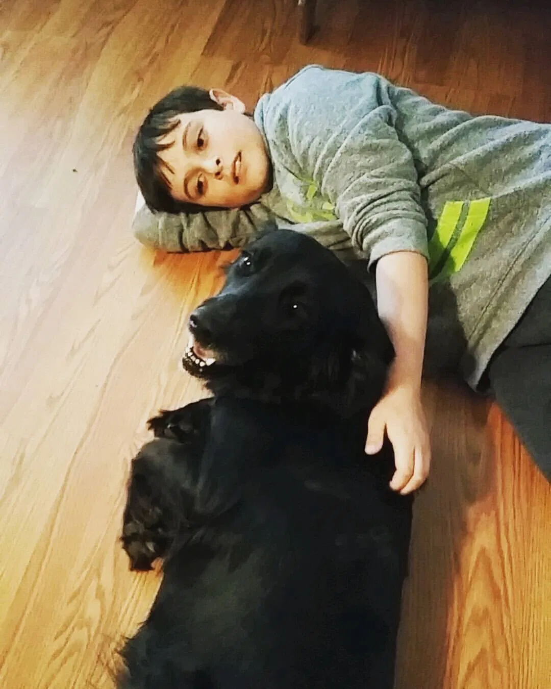 Lost dog in Forsyth, GA, 31029