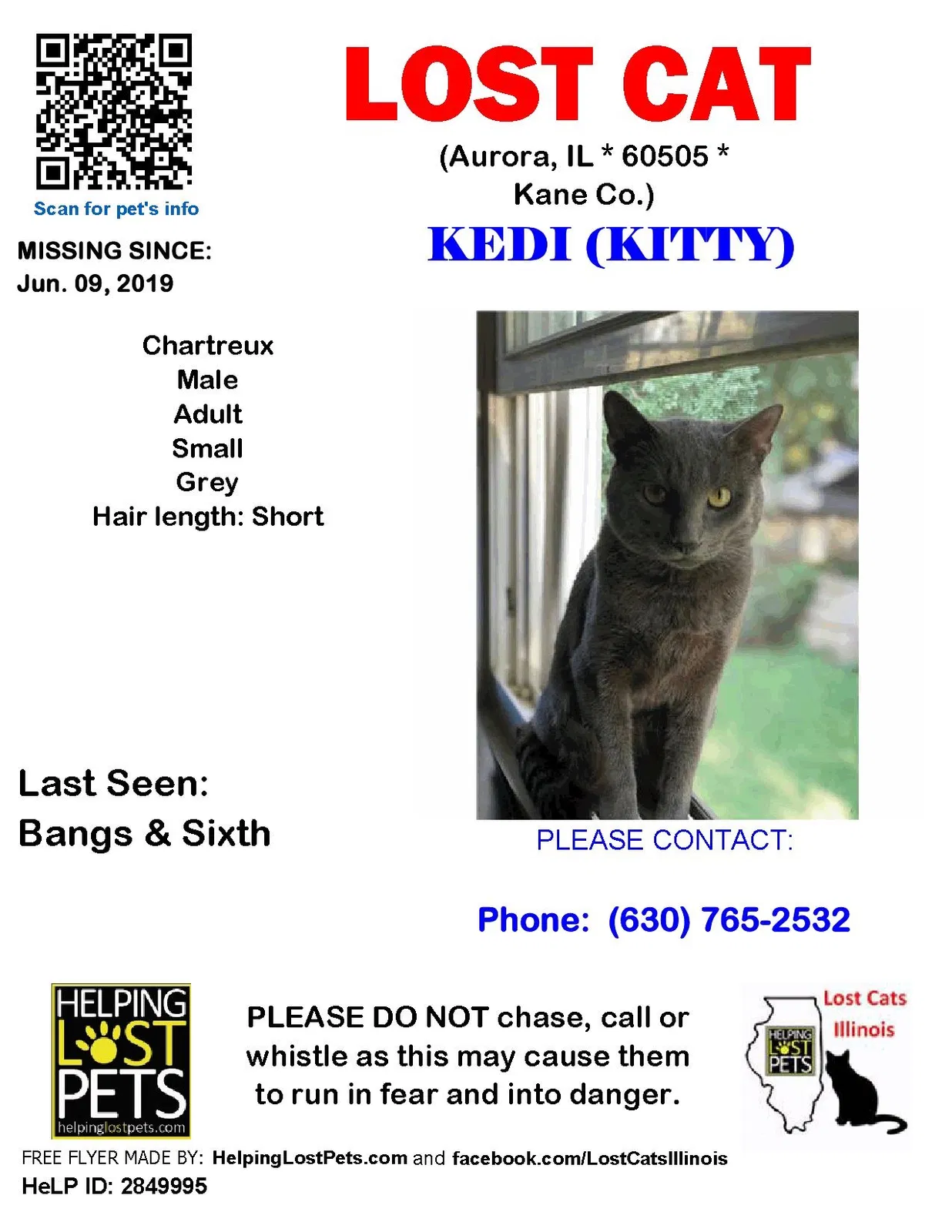 Lost cat in Aurora, IL, 60505