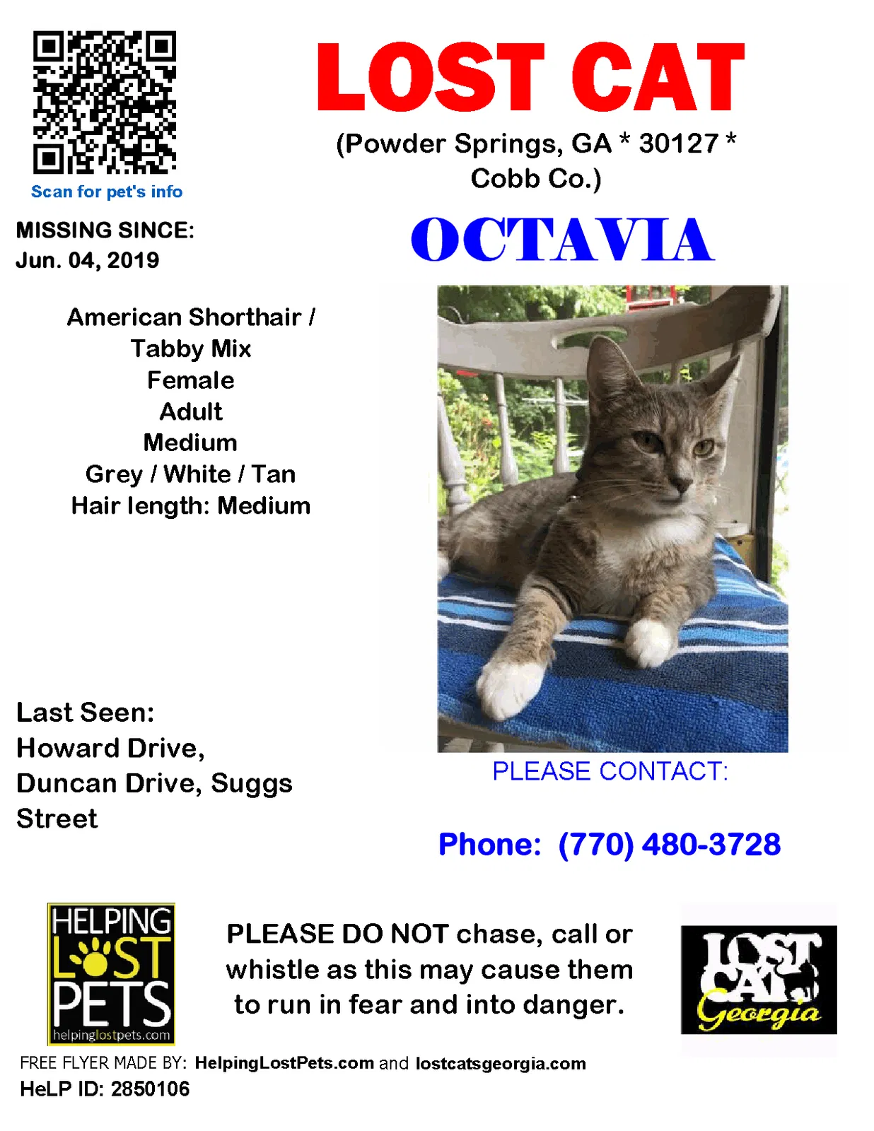 Lost cat in Powder Springs, GA, 30127