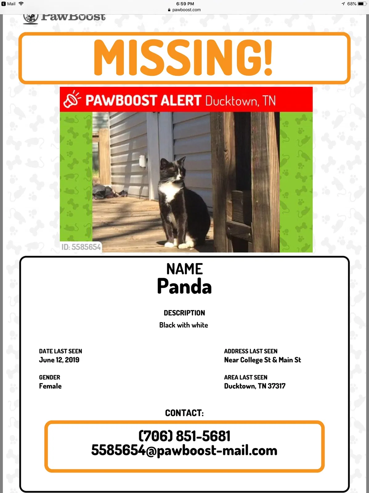 Lost cat in Copperhill, TN, 37317