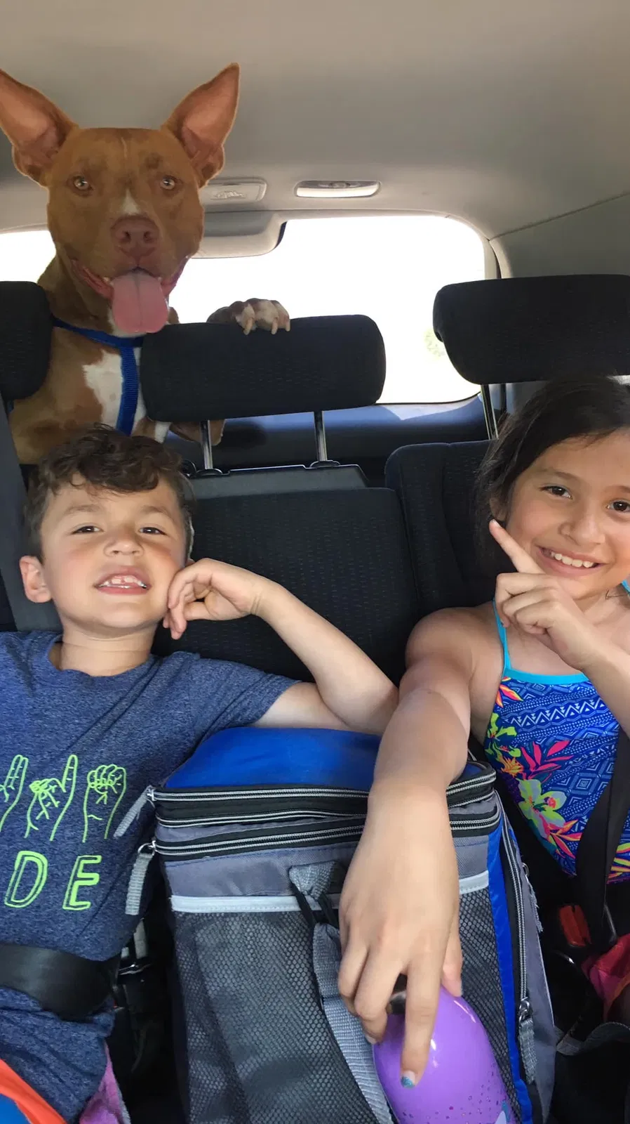 Lost dog in Tulsa, OK, 74129
