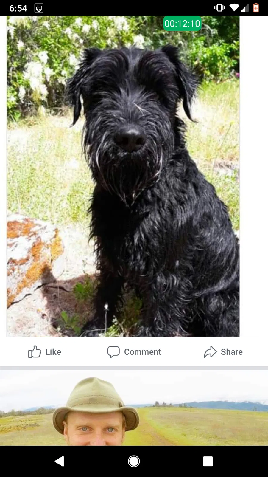 Lost dog in Medford, OR, 97501
