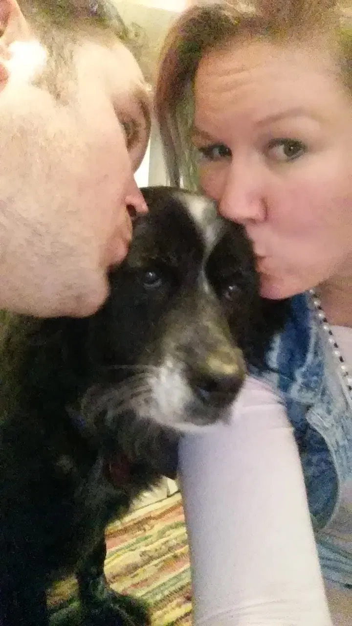Lost dog in Turtle Creek, PA, 15145