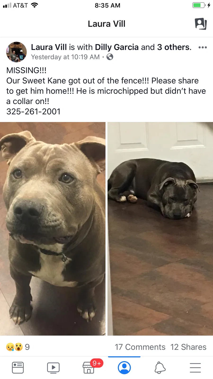 Lost dog in Abilene, TX, 79605