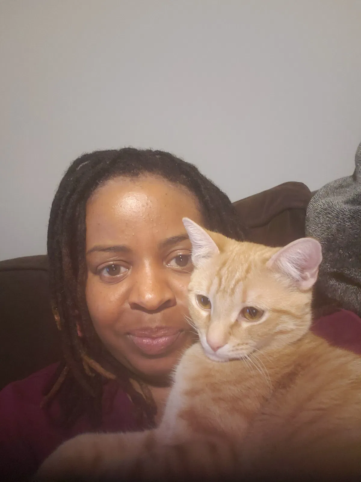 Lost cat in Philadelphia, PA, 19104
