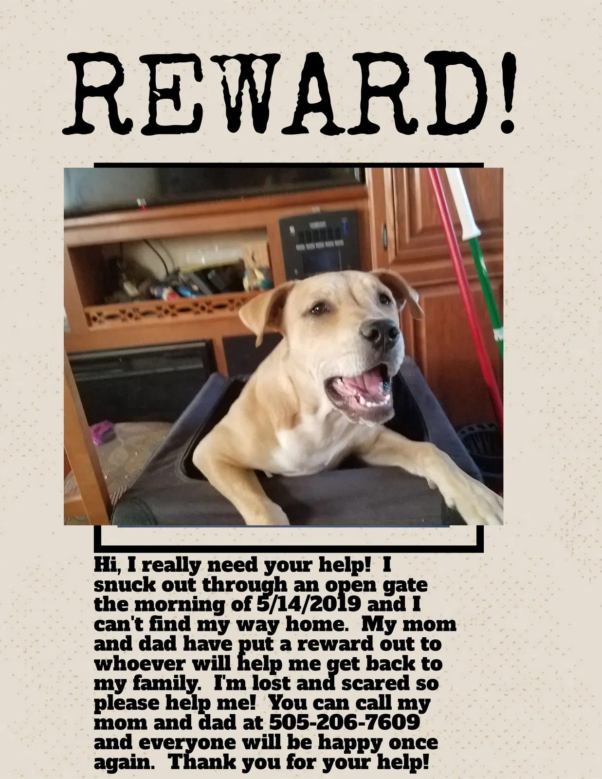 Lost dog in Albuquerque, NM, 87113