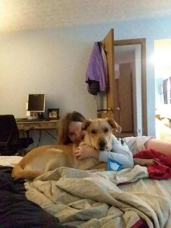 Lost dog in Grove City, OH, 43123