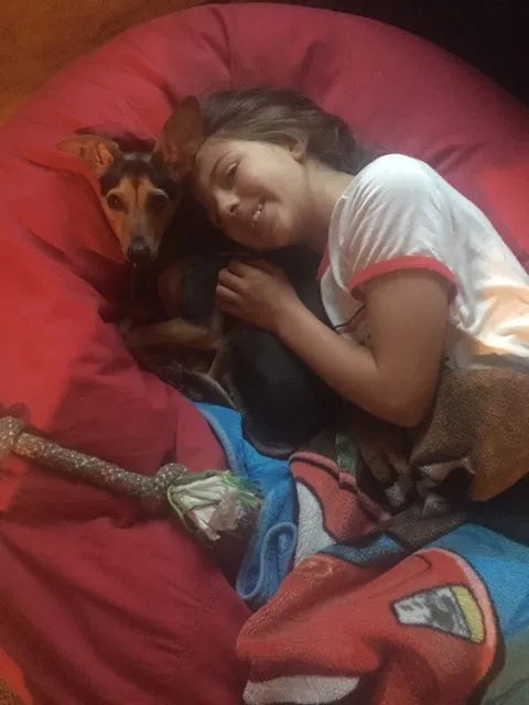 Lost dog in Sacramento, CA, 95833
