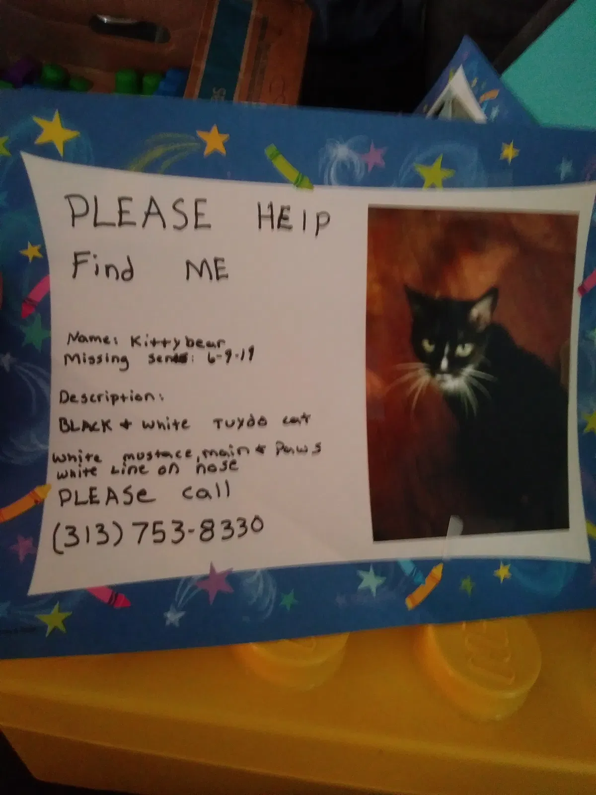 Lost cat in Lincoln Park, MI, 48146