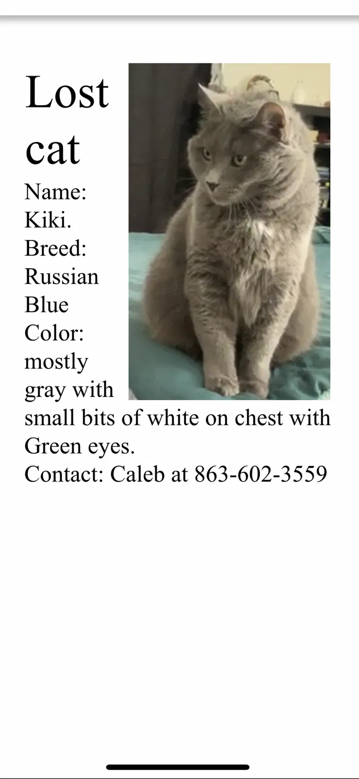 Lost cat in Oviedo, FL, 32765