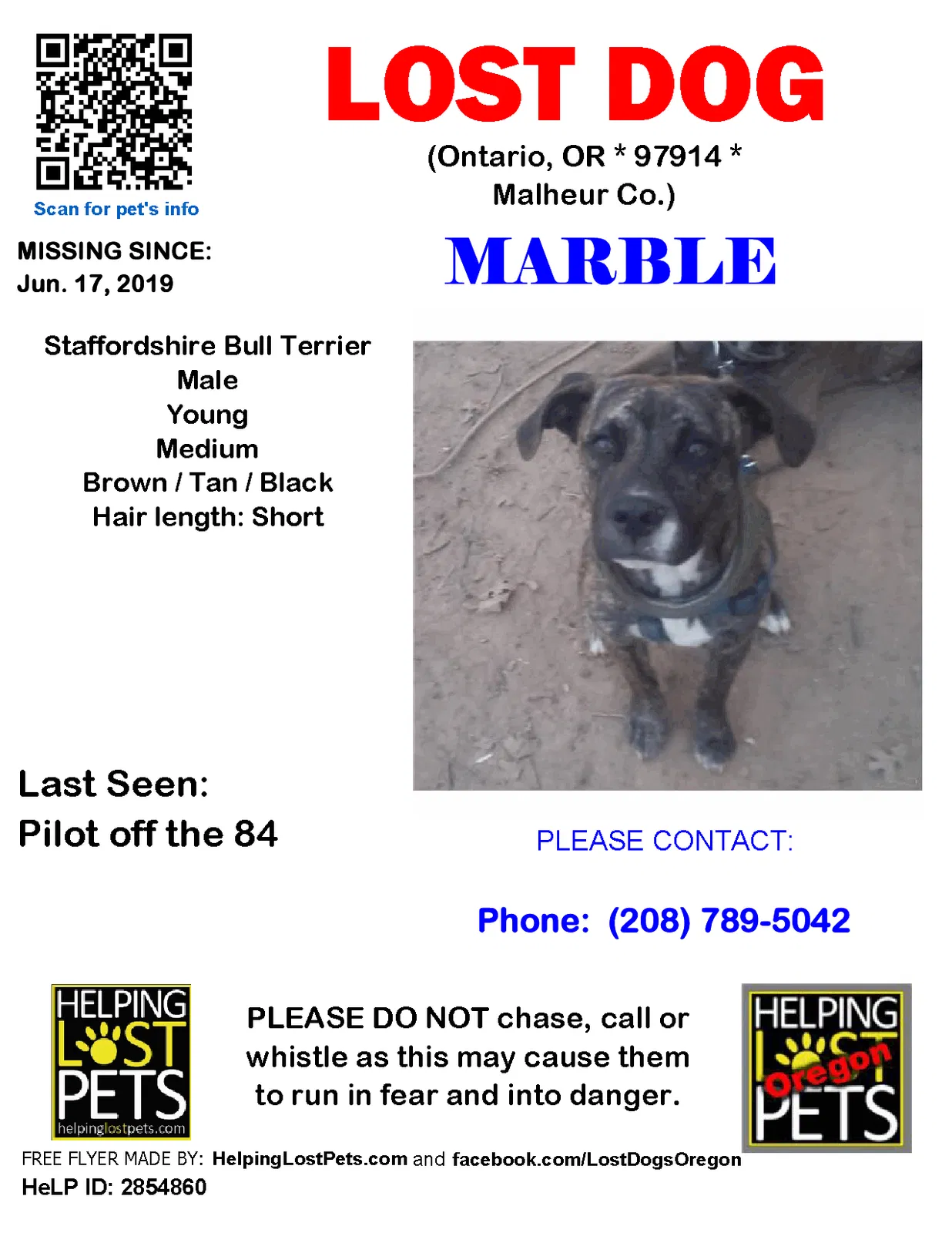 Lost dog in Unknown, OR, 87914