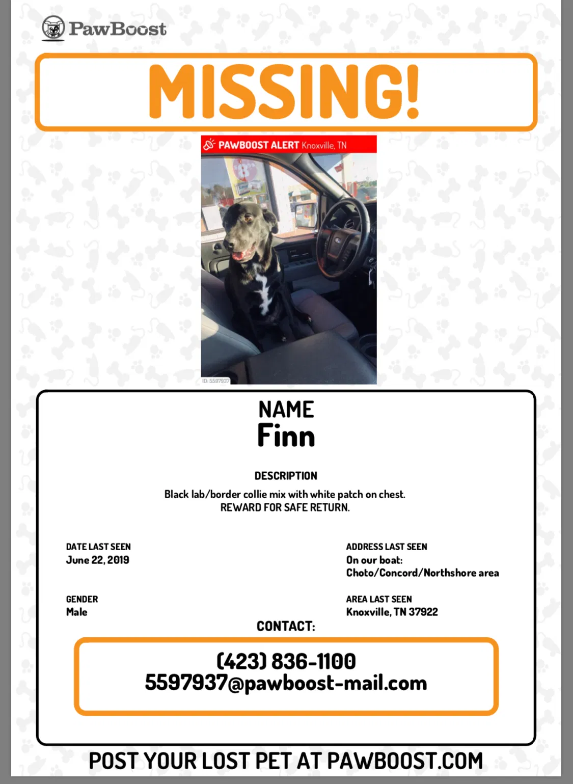 Lost dog in Knoxville, TN, 37922
