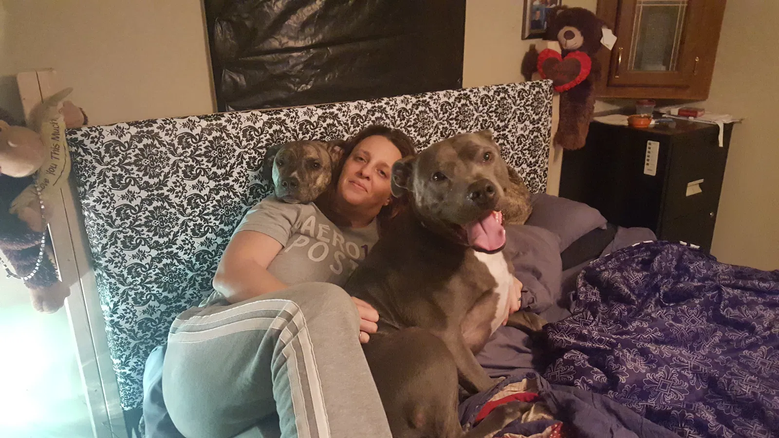 Lost dog in Linwood, NC, 27299