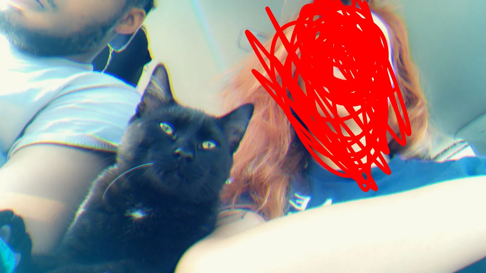 Lost cat in Boulder, CO, 80301