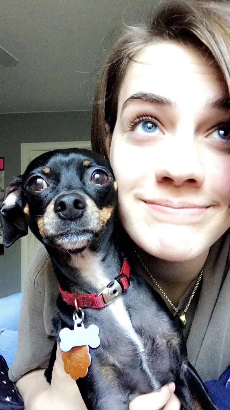 Lost dog in Cypress, TX, 77433