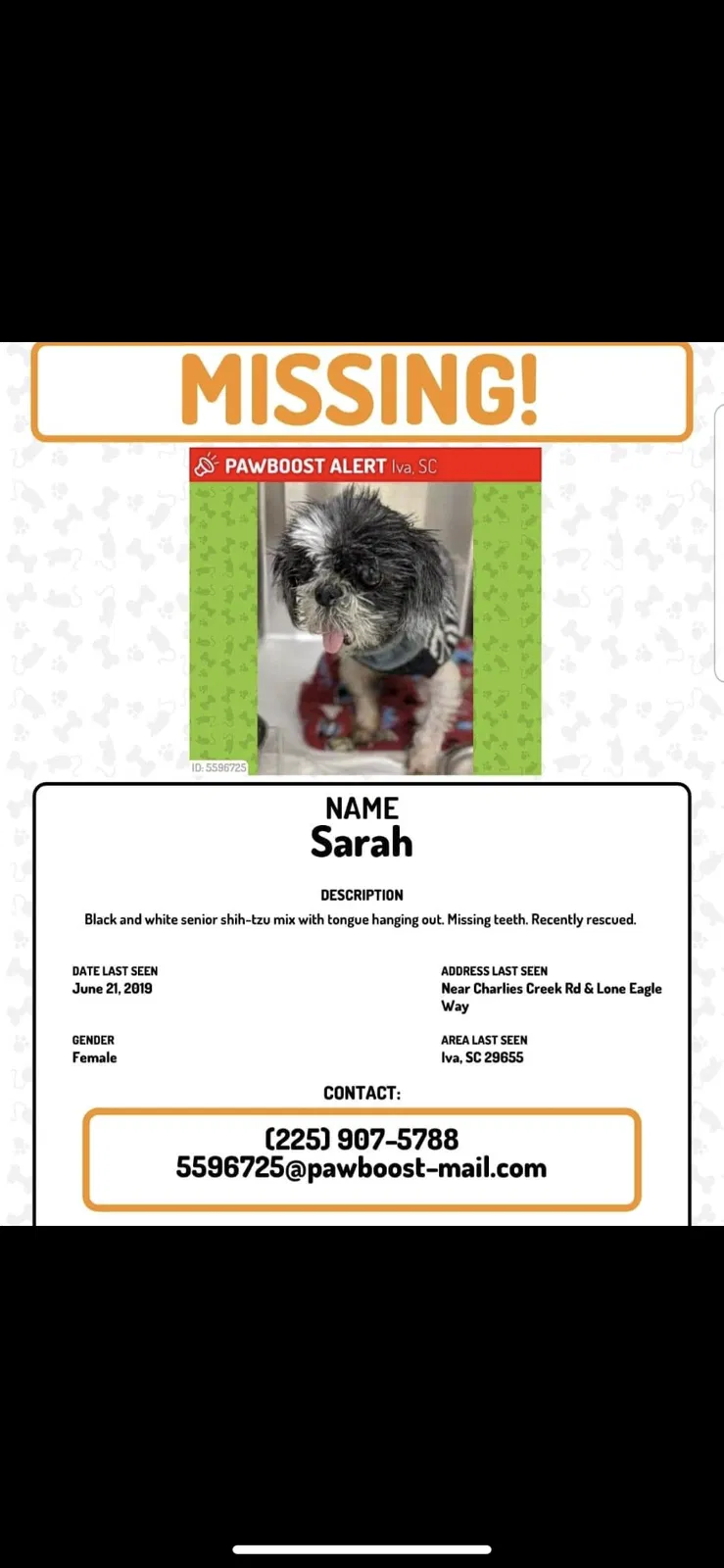 Lost dog in Iva, SC, 29655