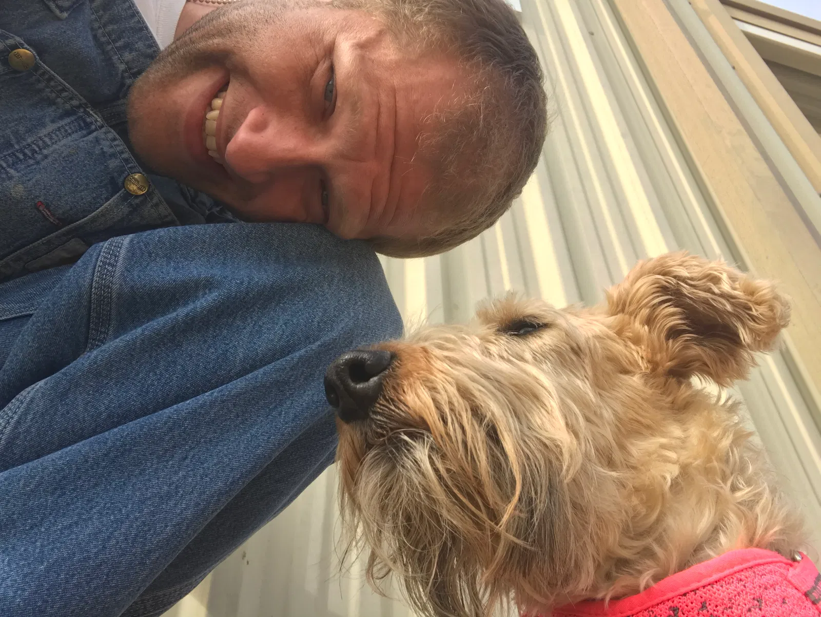 Lost dog in Okarche, OK, 73762