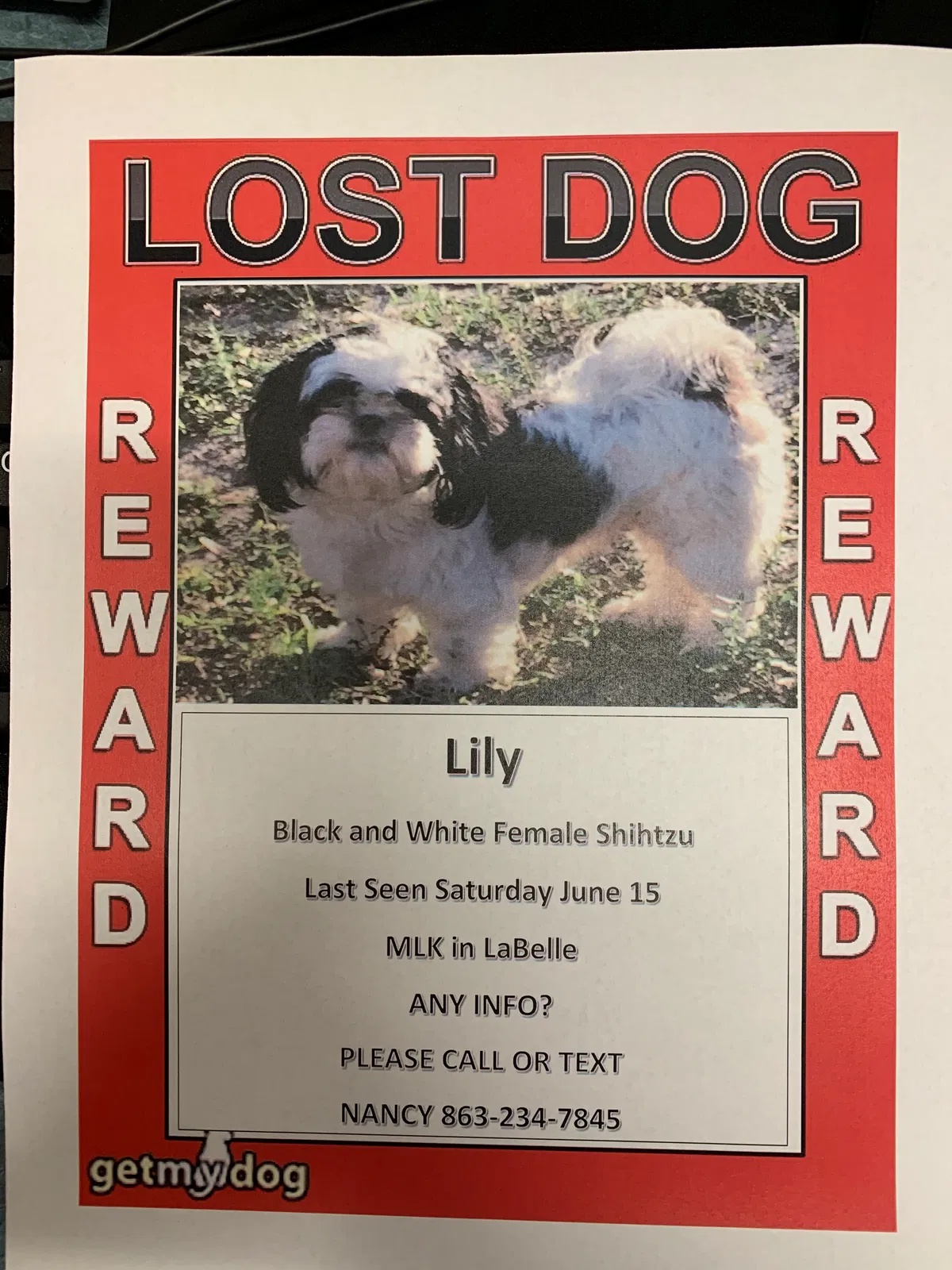 Lost dog in Labelle, FL, 33935